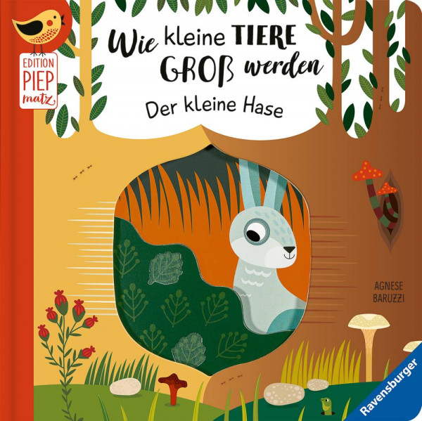 Ravensburger Verlag GmbH | Wie kleine Tiere groß werden: Der kleine Hase