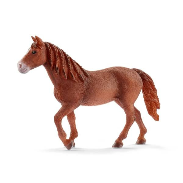 Schleich | Morgan Horse Stute | 13870