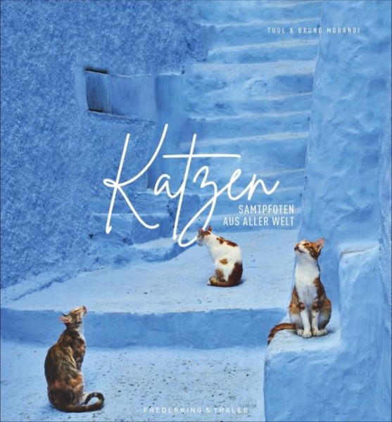 Frederking & Thaler | Katzen