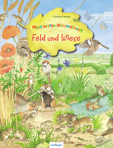 Thienemann | Feld und Wiese. Wimmelbuch | 822782