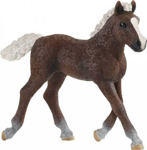 Schleich | Schwarzwälder Fohlen | 13899