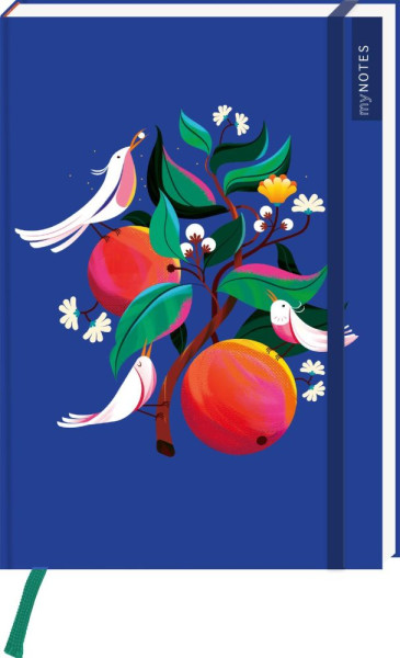 arsEdition | myNOTES Papeterie: Notizbuch A5 Farben des Sommers | 