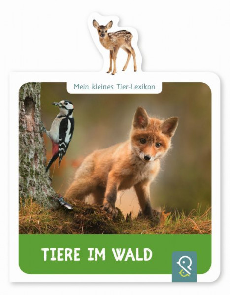 Gerstenberg | Mein kleines Tier-Lexikon Tiere im Wald | 15-5
