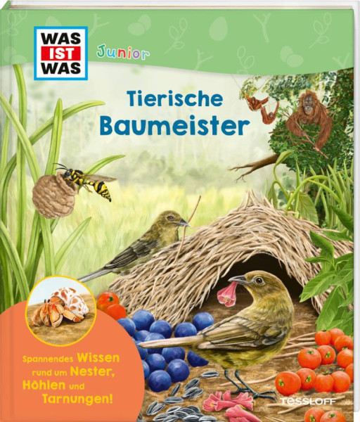Tessloff Verlag Ragnar Tessloff GmbH & Co. KG | WAS IST WAS Junior Tierische Baumeister | Küntzel, Karolin