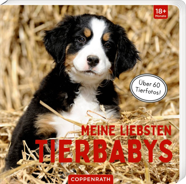 Coppenrath | Meine liebsten Tierbabys | 