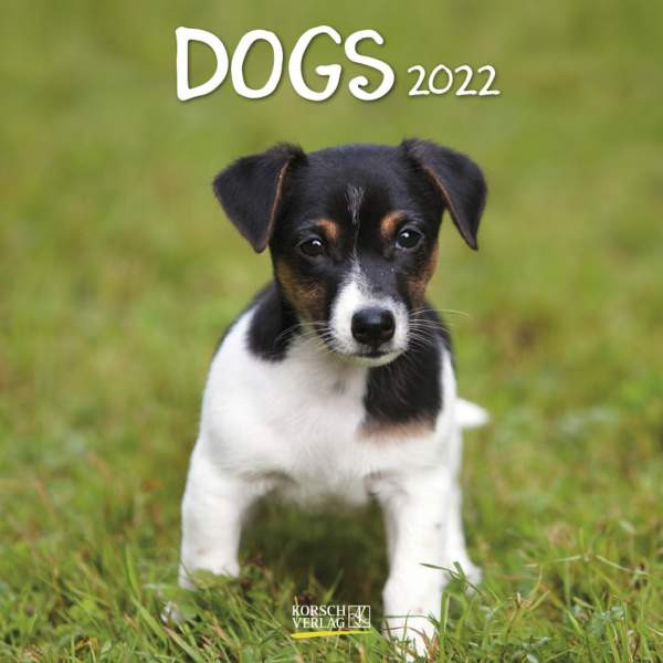 Korsch Verlag | Dogs 2022 | 