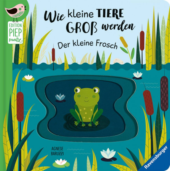 Ravensburger Verlag GmbH | Wie kleine Tiere groß werden: Der kleine Frosch