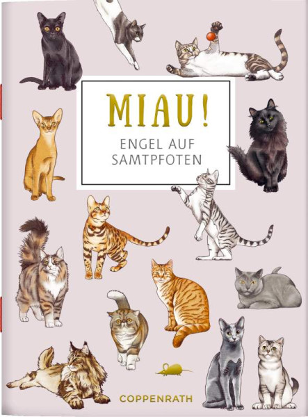 Coppenrath | MIAU! - Engel auf Samtpfoten | 