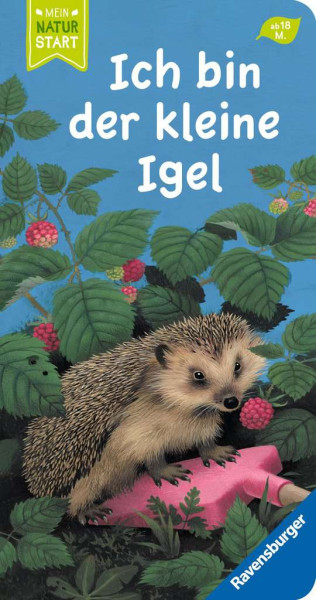 Ravensburger | Ich bin der kleine Igel | 41843