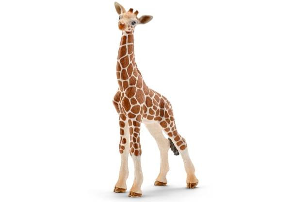 Schleich | Wild Life Giraffenbaby | 14751