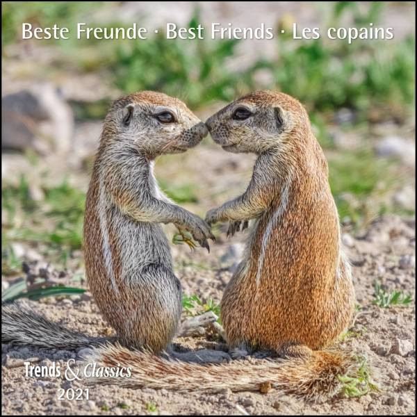 DUMONT Kalenderverlag | Beste Freunde Best Friends 2021 - Broschürenkalender - Wandkalender - mit herausnehmbarem Poster - Format 30 x 30 cm