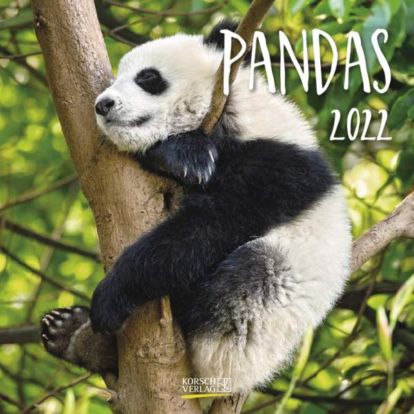 Korsch Verlag | Pandas 2022 | 