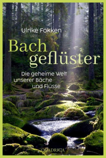 Quadriga | Bachgeflüster | Fokken, Ulrike
