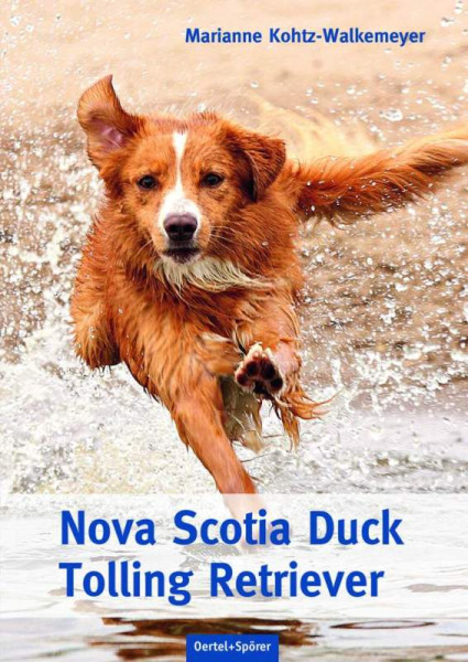 Oertel u. Spörer | Nova Scotia Duck Tolling Retriever | Kohtz-Walkemeyer, Marianne