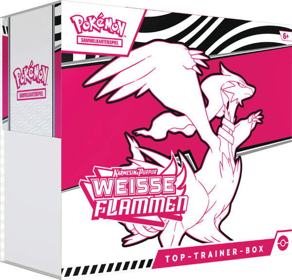 Amigo | PKM KP10.5 Top-Trainer-Box (R) | 11364