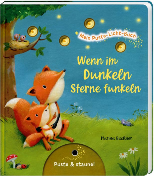 Thienemann | Mein Puste-Licht-Buch: Wenn im Dunkeln S | 823652
