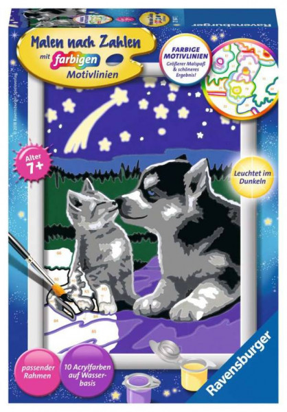Ravensburger | Malen nach Zahlen Hund und Katze | 27847