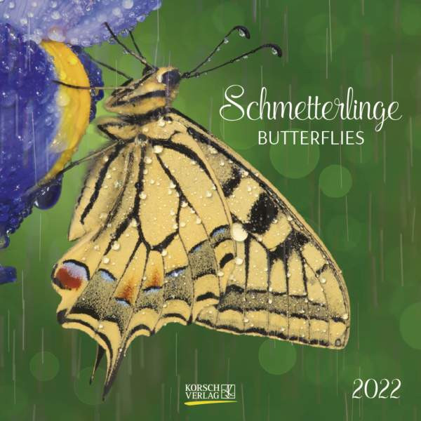 Korsch Verlag | Schmetterlinge 2022 | 