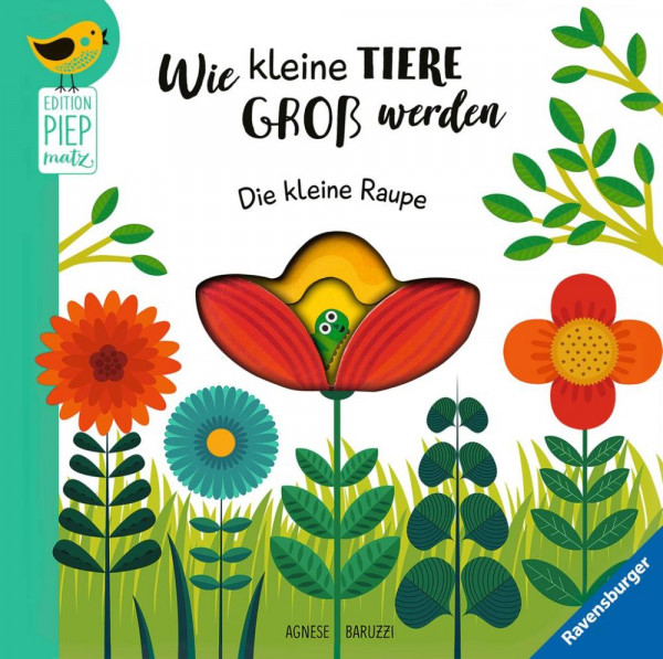 Ravensburger Buchverlag | Wie kleine Tiere groß werden