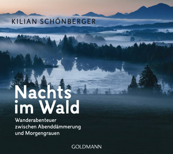 Goldmann | Nachts im Wald