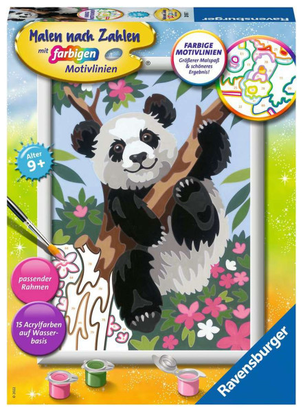 Schwarz weißer Bär auf dem Baum 