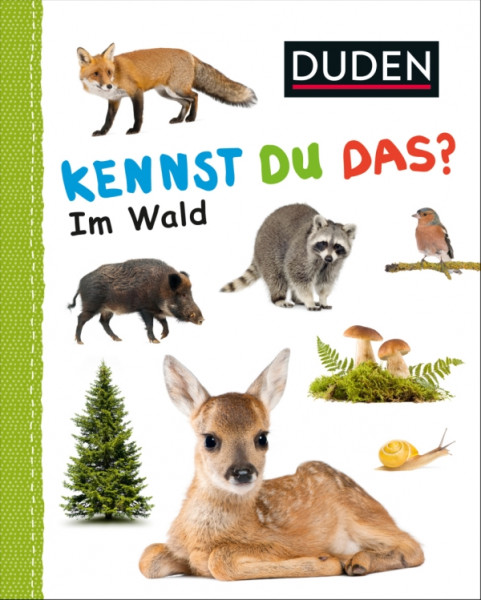 S.Fischer Verlag | Kennst du das? Im Wald | 7373-3431