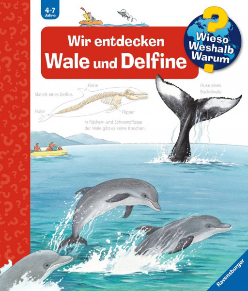 Ravensburger Buchverlag | Wir entdecken Wale und Delfine