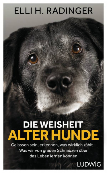 Ludwig | Die Weisheit alter Hunde
