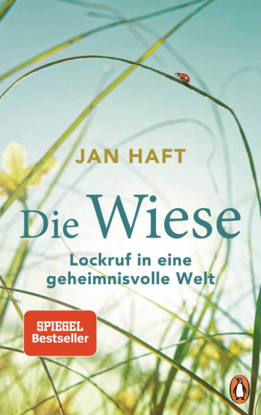 Penguin | Die Wiese