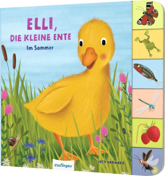 Esslinger in der Thienemann-Esslinger Verlag GmbH | Mein erstes Jahreszeitenbuch: Elli, die kleine Ente | Kiel, Anja