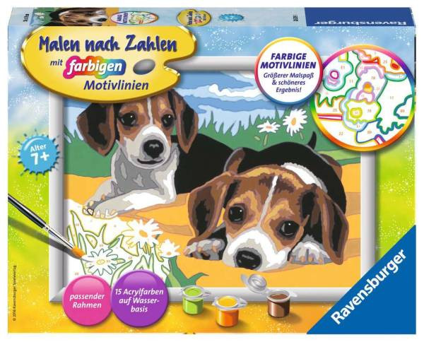Ravensburger | Jack Russel Welpen