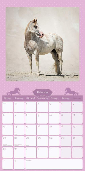 Neumann Verlage GmbH & Co. KG | Mein Pferdekalender 2023 - Broschürenkalender 30x30 cm (30x60 geöffnet) - Kalender mit Platz für Notizen - Bildkalender - Wandplaner - Wandkalender