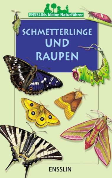 Arena | Schmetterlinge und Raupen