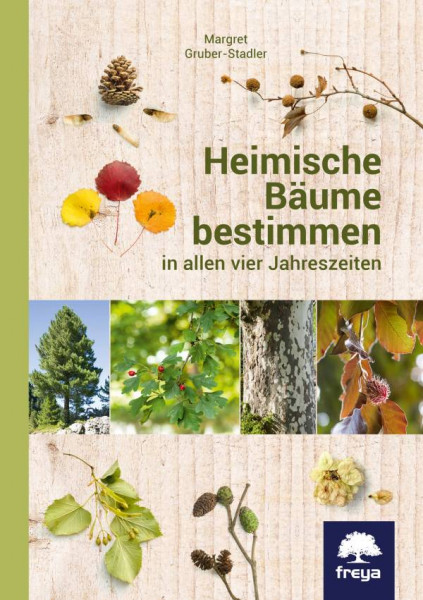Freya | Heimische Bäume bestimmen