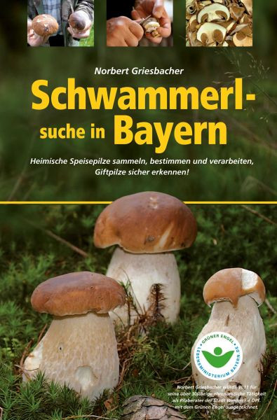 SüdOst | Schwammerlsuche in Bayern
