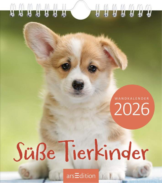 arsEdition | Wandkalender Süße Tierkinder 2026 | 