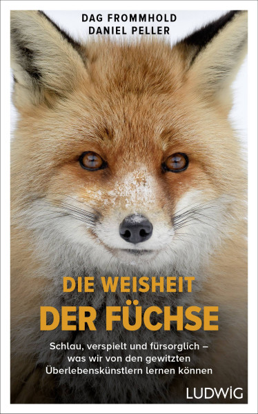 Ludwig | Die Weisheit der Füchse | Frommhold, Dag; Peller, Daniel