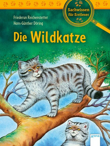 Arena | Die Wildkatze