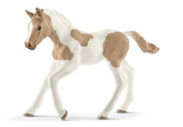 Schleich | Paint Horse Fohlen | 13886