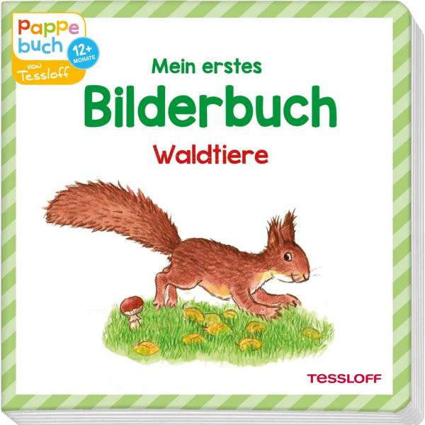 Tessloff | Mein erstes Bilderbuch | Waldtiere