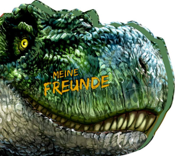 Coppenrath | Freundebuch – Meine Freunde | 