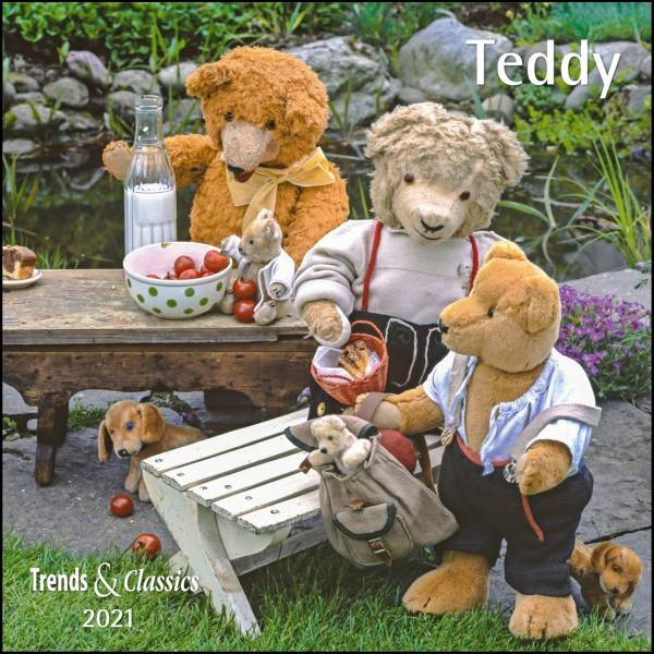 DUMONT Kalenderverlag | Teddy 2021 - Broschürenkalender - Wandkalender - mit herausnehmbarem Poster - Format 30 x 30 cm