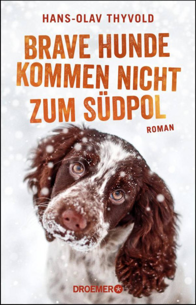 Droemer | Brave Hunde kommen nicht zum Südpol