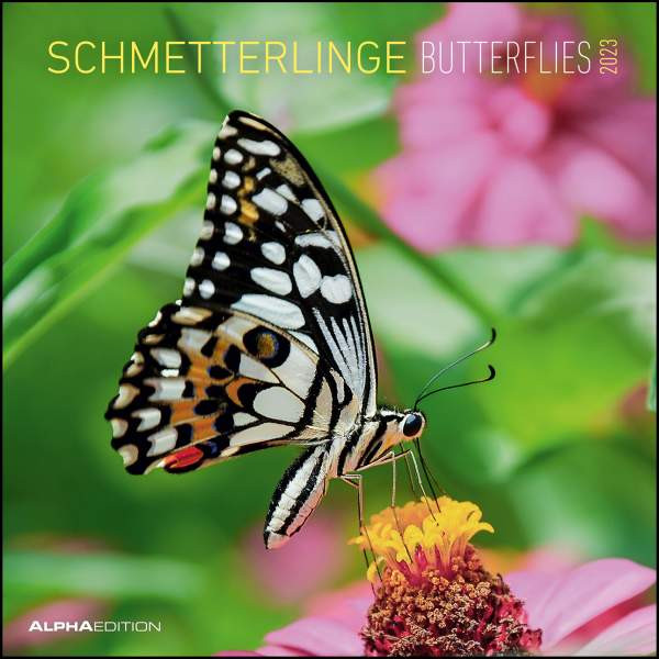 Neumann Verlage GmbH & Co. KG | Schmetterlinge 2023 - Broschürenkalender 30x30 cm (30x60 geöffnet) - Kalender mit Platz für Notizen - Butterflies - Bildkalender - Wandkalender | 