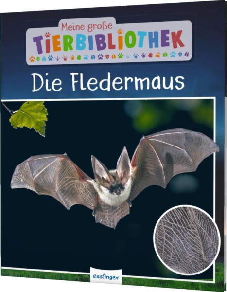 Esslinger in der Thienemann-Esslinger Verlag GmbH | Meine große Tierbibliothek: Die Fledermaus | Poschadel, Dr. Jens; Möller, Antje