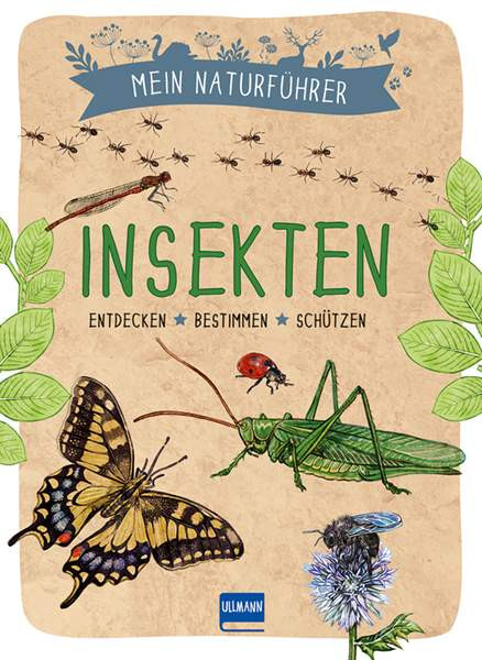 Ullmann Medien | Mein Naturführer - Insekten | Japiot, Xavier