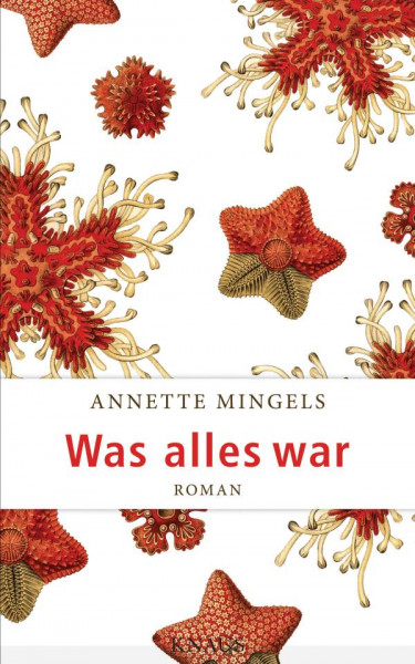 Knaus | Was alles war