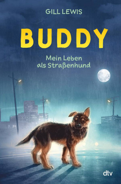 dtv Verlagsgesellschaft | Buddy – Mein Leben als Straßenhund | Lewis, Gill