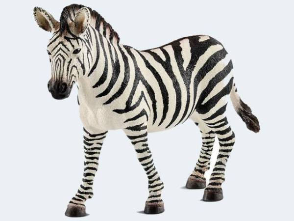 Schleich | Zebra Stute | 14810