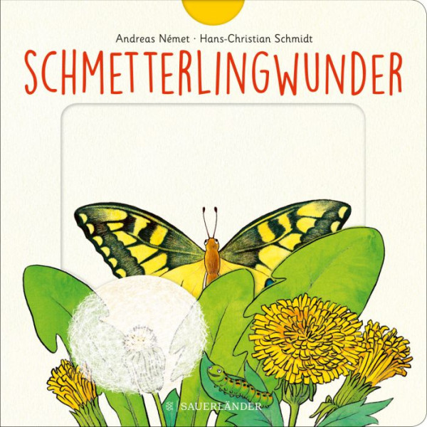 S.Fischer Verlag | Schmetterlingwunder | 7373-5695